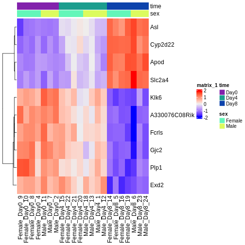 Heatmap showing the vsd-transformed expression levels for the ten most significantly differentially expressed genes over time, in all the samples.