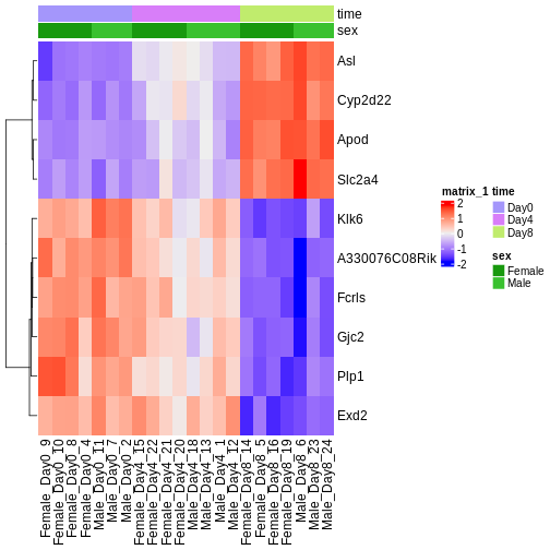 Heatmap showing the vsd-transformed expression levels for the ten most significantly differentially expressed genes over time, in all the samples.